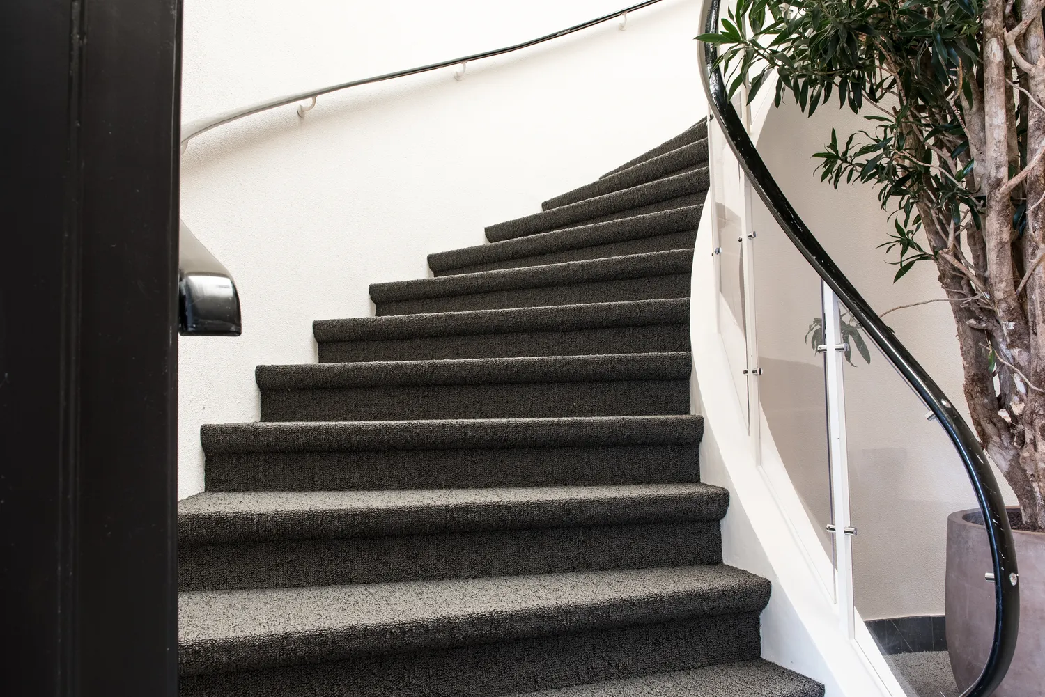 Pranie dywanów w domu