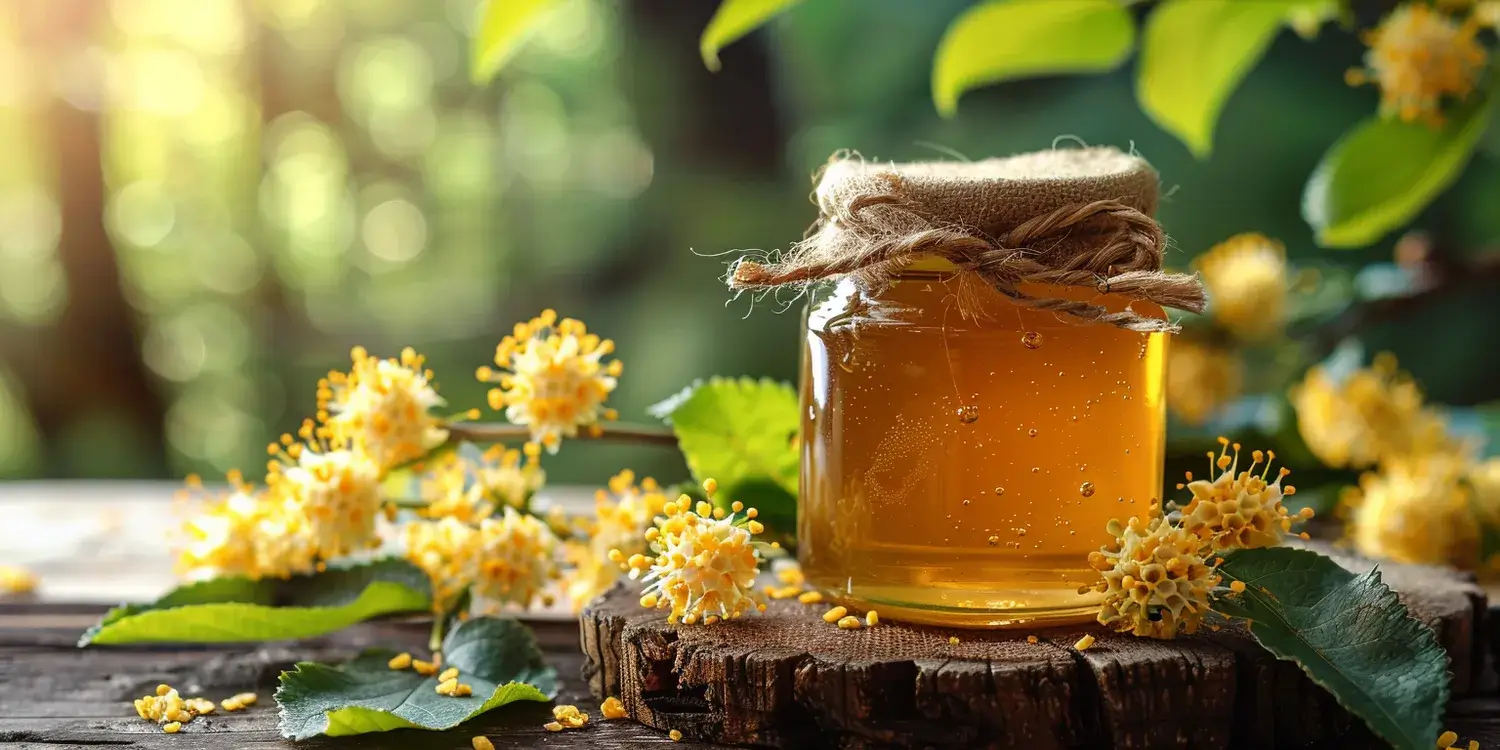 Jak i ile miodu spadziowego można jeść?