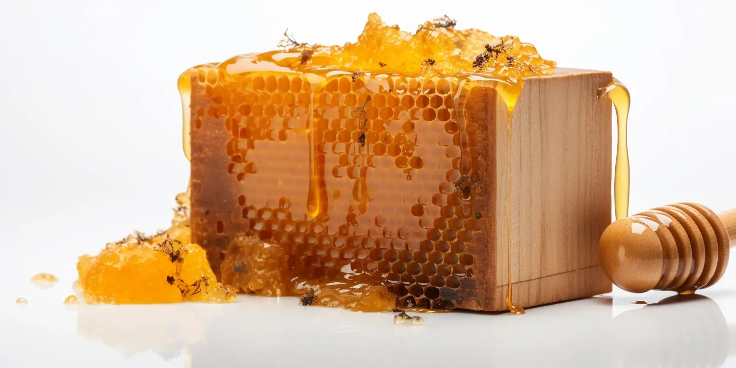 Jak powstaje miód nektarowo-spadziowy?