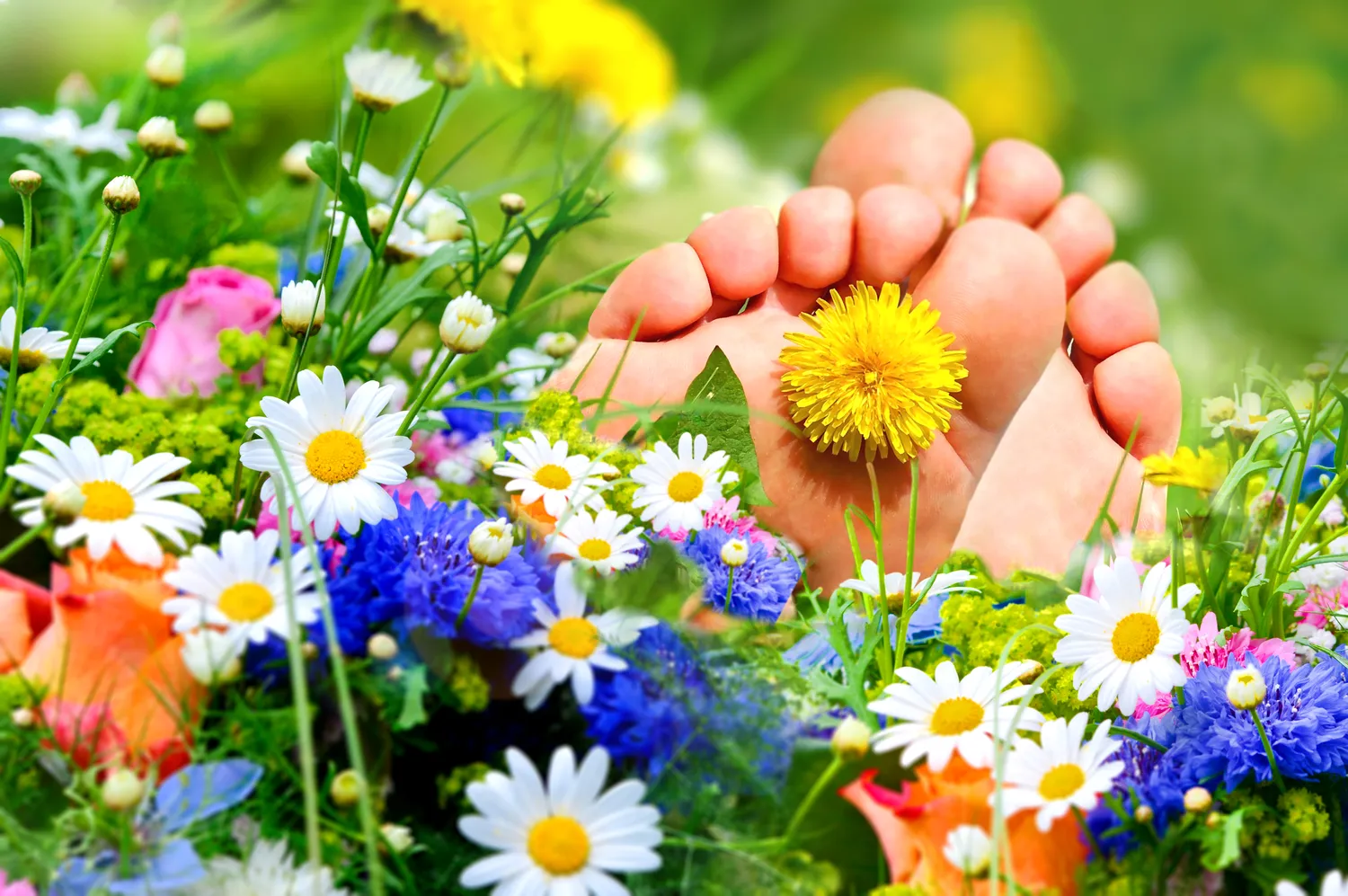  Kompleksowy przewodnik po podologii - co trzeba o niej wiedzieć?