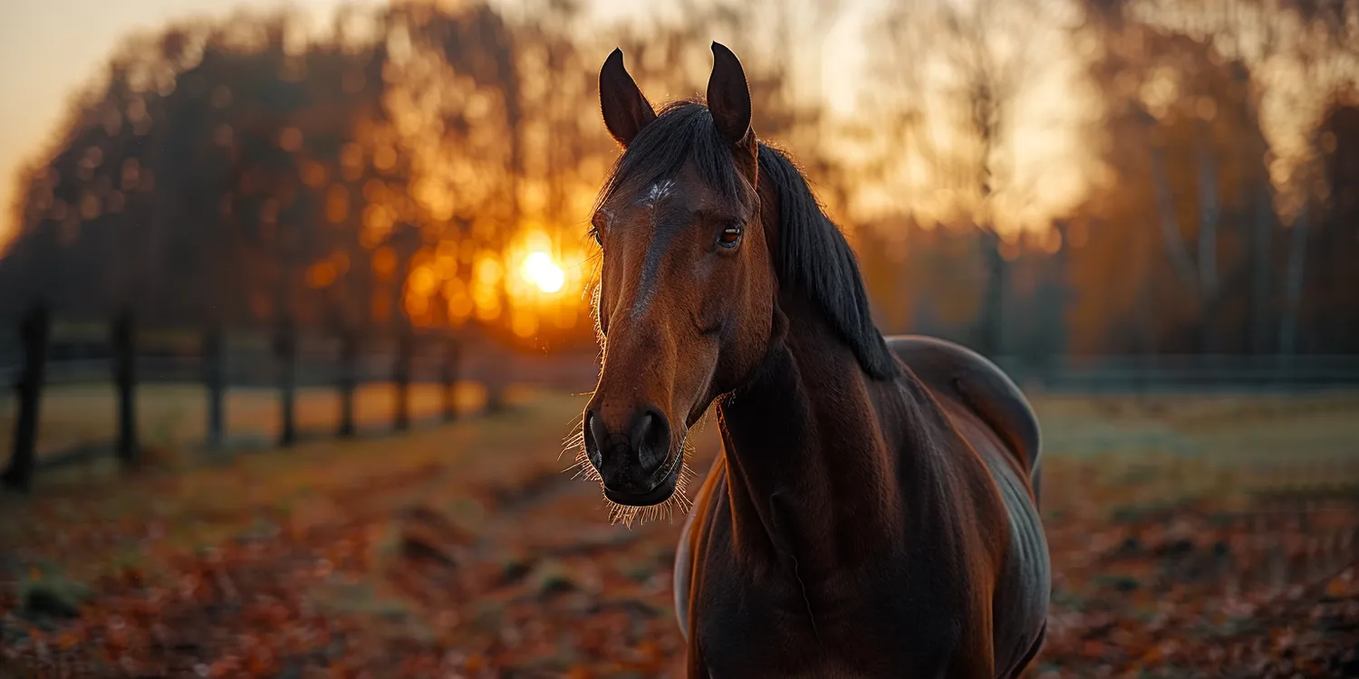 Krematorium dla zwierząt - alternatywa dla utylizacji