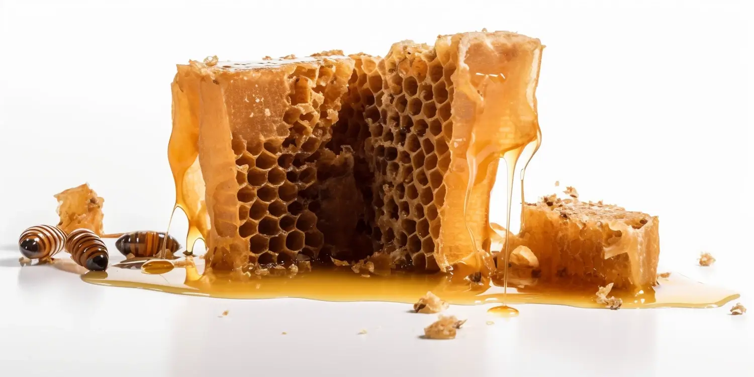 Miód rzepakowy ile dziennie?