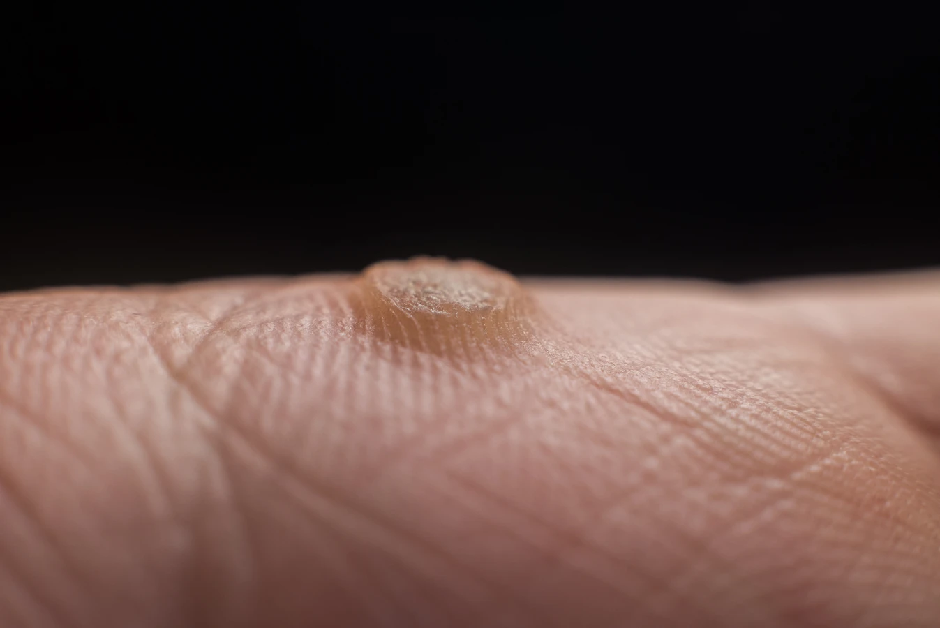 Podolog - kto to jest i czym się zajmuje?